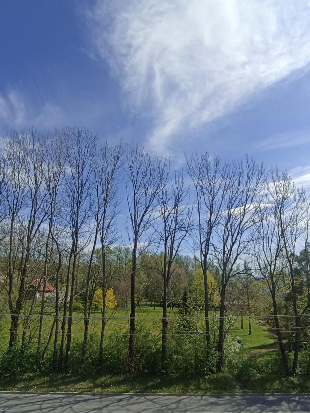Apartament Aleja Lipowa Gorki Wielkie 外观 照片
